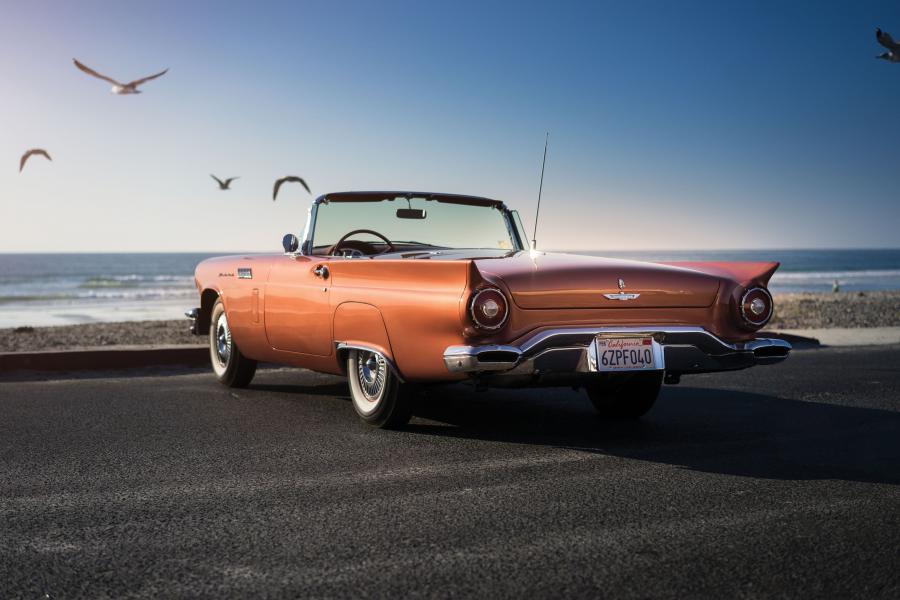  Ford Thunderbird F-Code Special Supercharged (40) 1957 года  (фото 13 из 40)